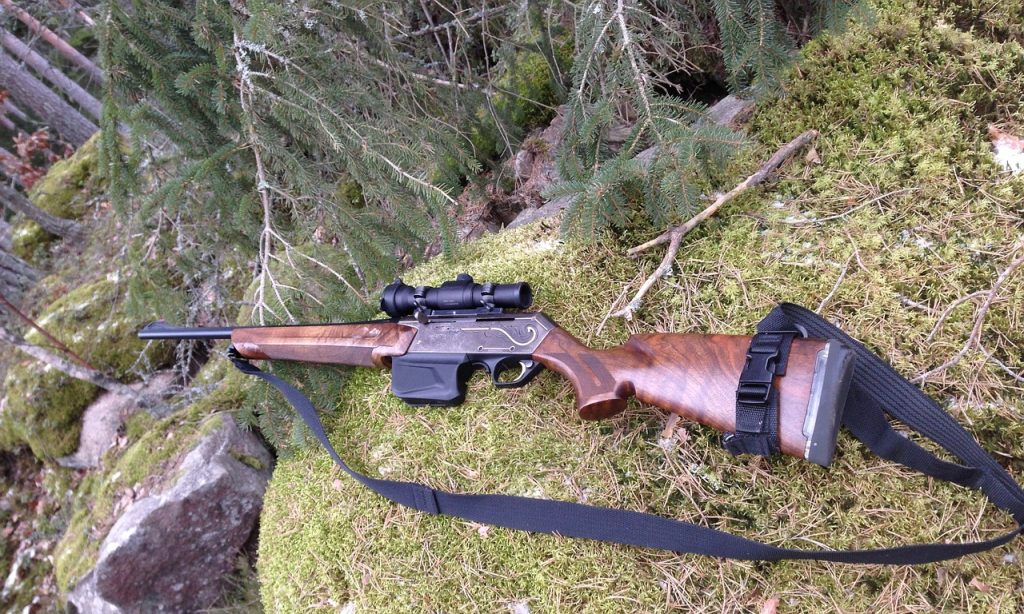 outdoorsfirearm.jpg