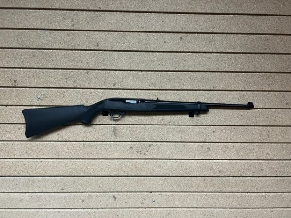 Ruger 1022 Worth It Supply